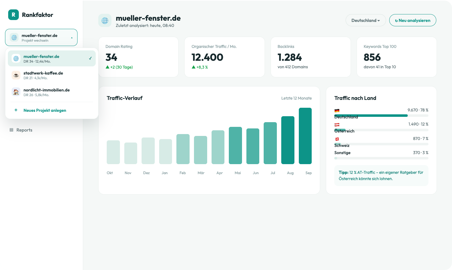 Seiten-Analyse für jede Domain